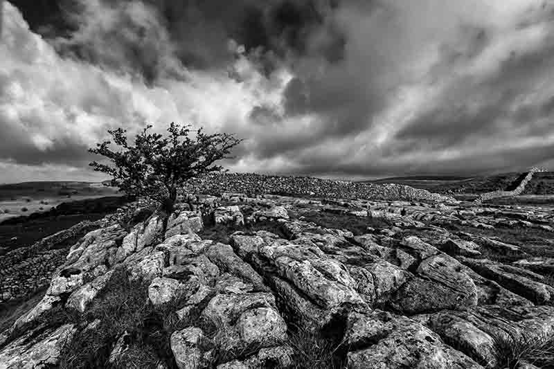 23.800 res Limestone pavement,north yourk moors