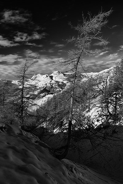 The Langdale Pikes from Lingmoor 600x400 filter 17